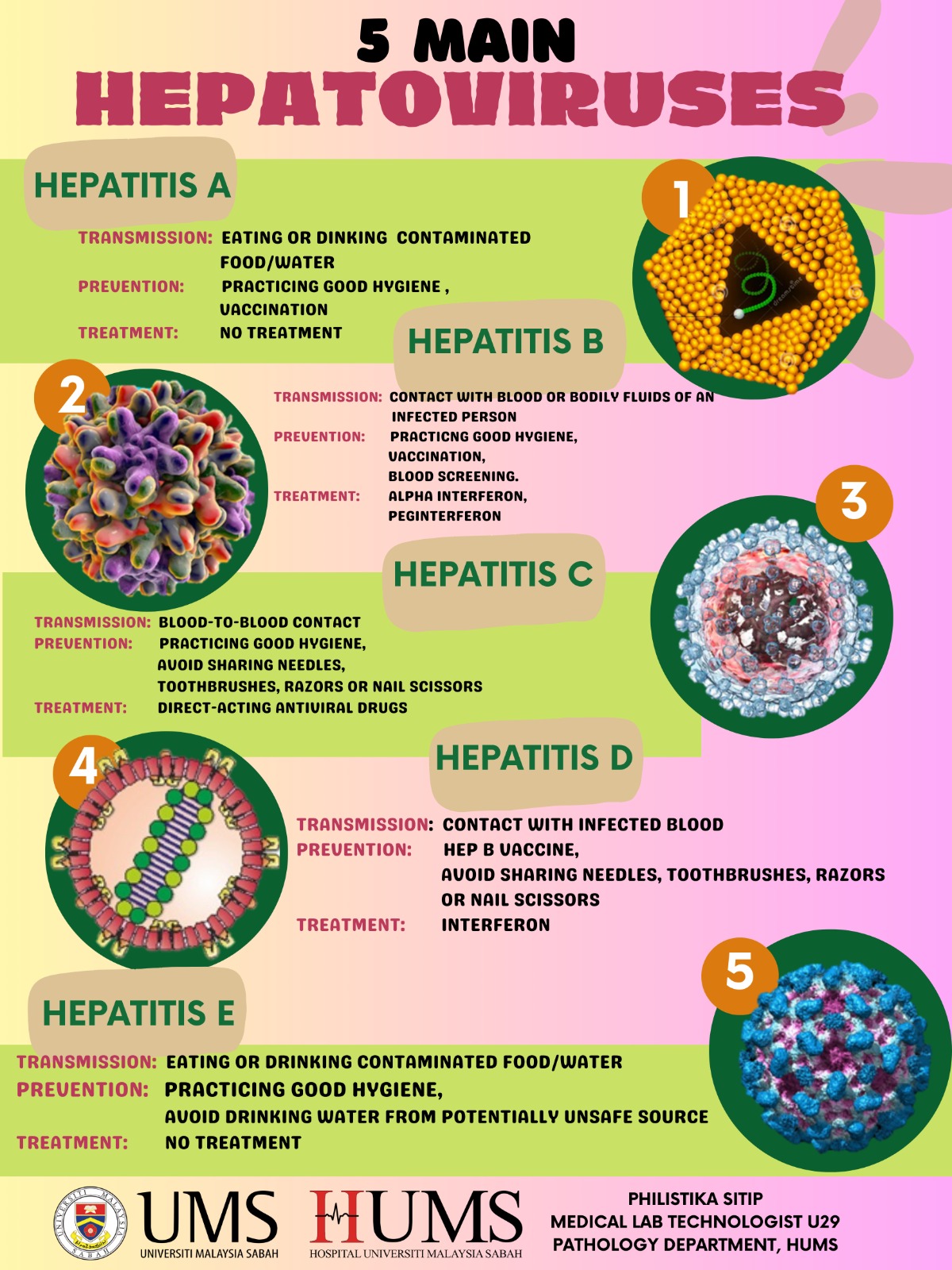 5 Main Hepatoviruses